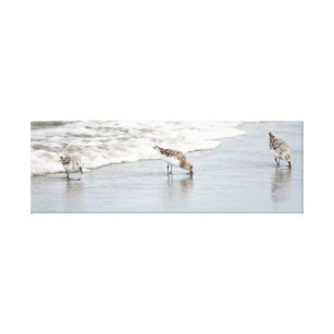 Sandpipers on the Beach Photo Stretched Canvas