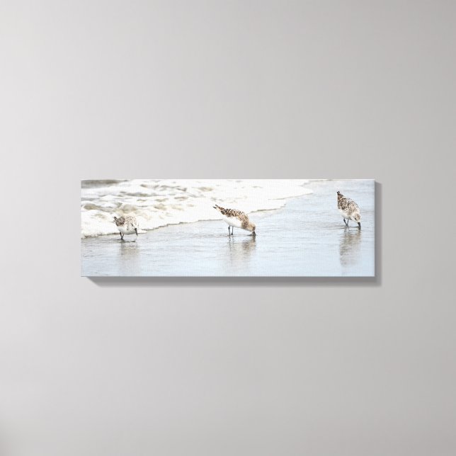 Sandpipers on the Beach Photo Stretched Canvas Print (Front)