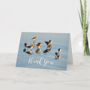 Sandpipers Photo Thank You Card