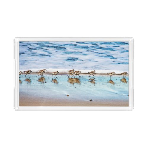 Sandpipers Running Along The Beach Acrylic Tray