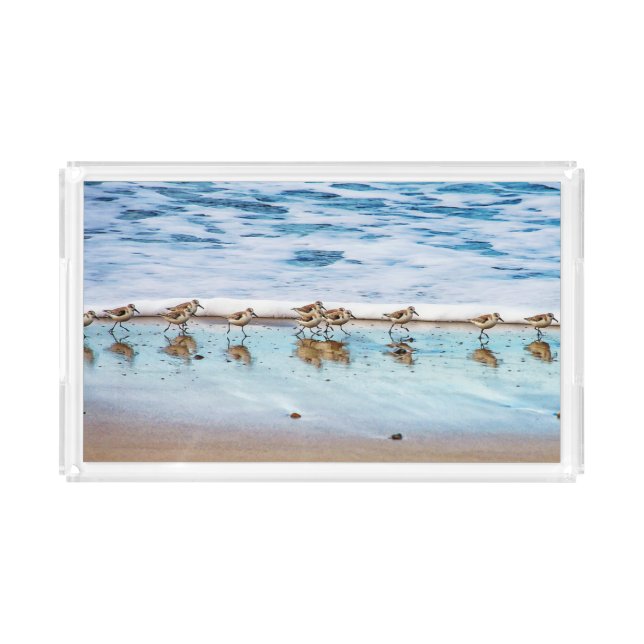 Sandpipers Running Along The Beach Acrylic Tray (Front)