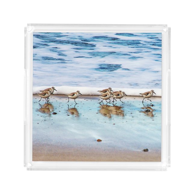 Sandpipers Running Along The Beach Acrylic Tray (Front)