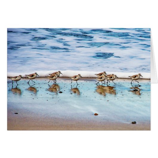 Sandpipers Running Along The Beach Cards (Front Horizontal)