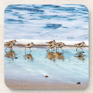 Sandpipers Running Along The Beach Coaster