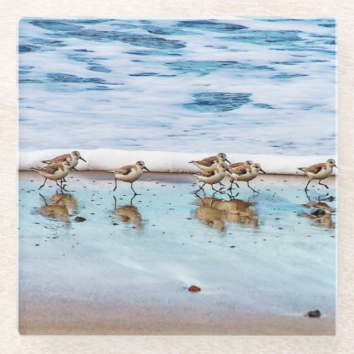 Sandpipers Running Along The Beach Glass Coaster
