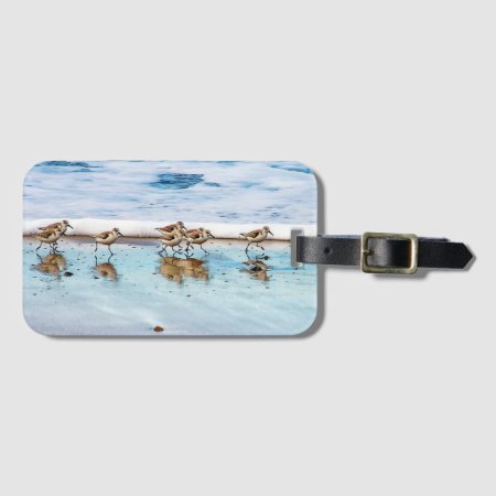 Sandpipers Running Along The Beach Luggage Tag
