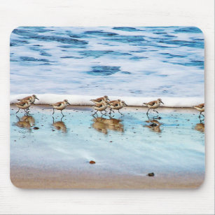 Sandpipers Running Along The Beach Mouse Pad
