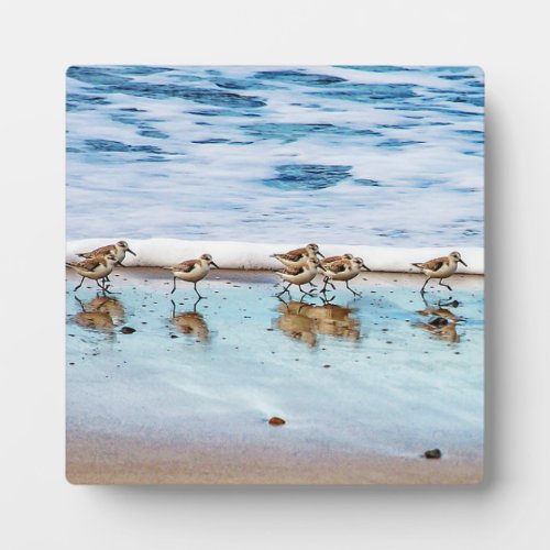 Sandpipers Running Along The Beach Plaque