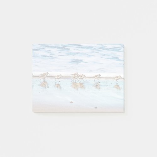 Sandpipers Running Along The Beach Post_it Notes