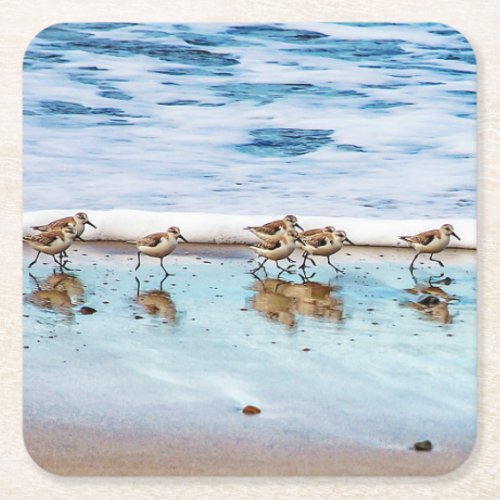 Sandpipers Running Along The Beach Square Paper Coaster