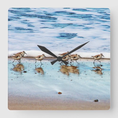 Sandpipers Running Along The Beach Square Wall Clock