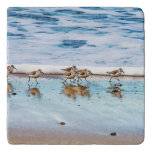 Sandpipers Running Along The Beach Trivet at Zazzle