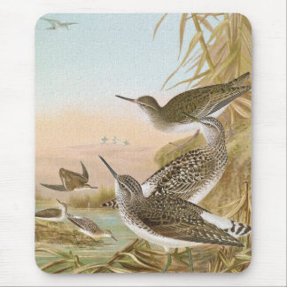 "Sandpipers" Vintage Bird Illustration Mouse Pad