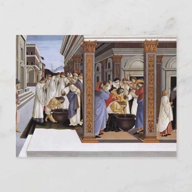 Sandro Botticelli- Baptism of St Zenobius Postcard (Front)