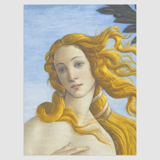 Sandro Botticelli - Birth of Venus Close-up Tissue Paper (Creator Uploaded)