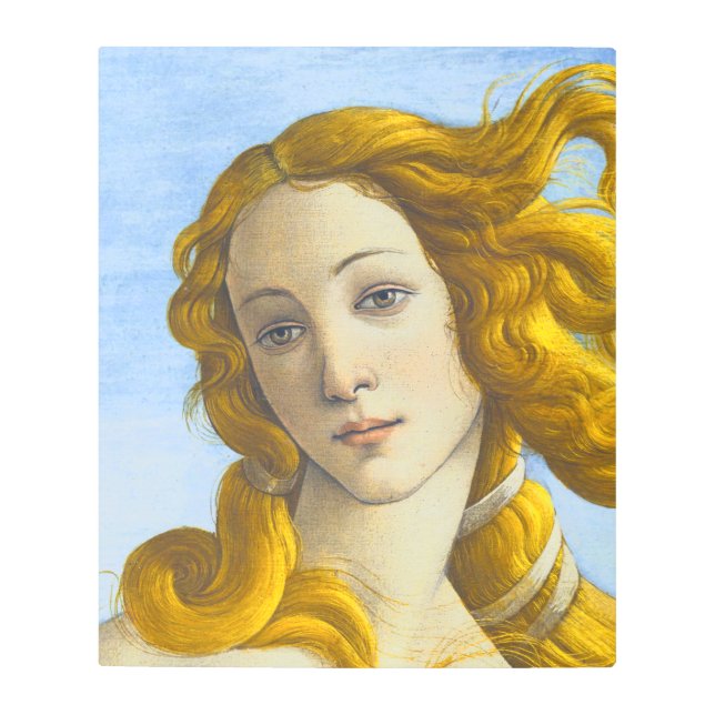 Sandro Botticelli - Birth of Venus Detail Metal Print (Front)