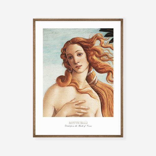Sandro Botticelli The Birth of Venus Art Exhibit Poster
