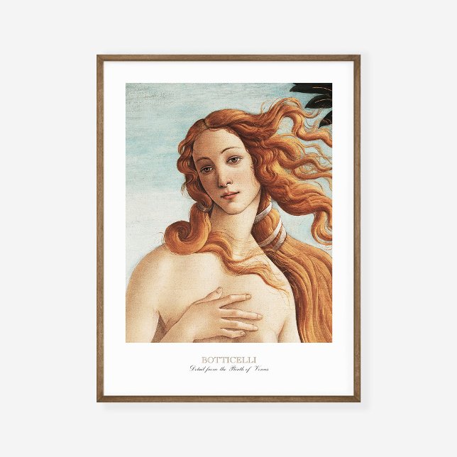 Sandro Botticelli The Birth of Venus Art Exhibit Poster (Creator Uploaded)