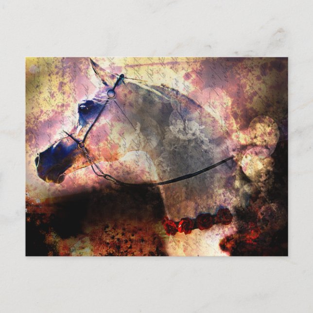 Sands of Time Postcard (Front)