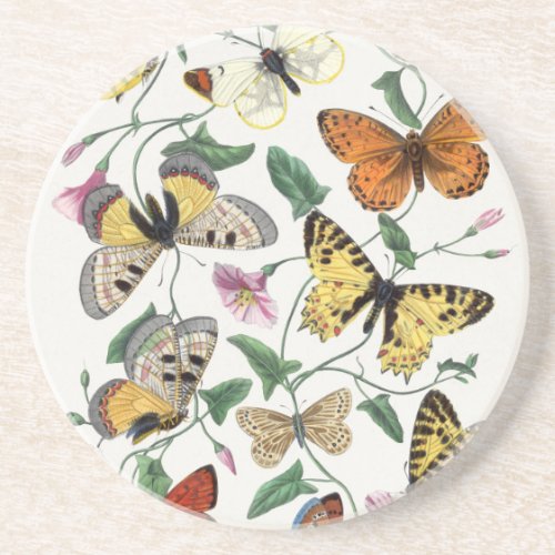 Sandstone Butterfly Antique Illustration Coaster