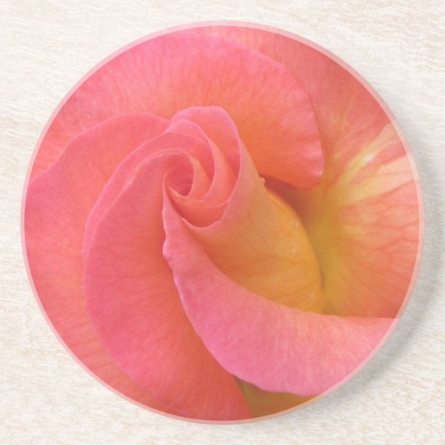 Sandstone Coaster--"Mardi Gras" Rose Drink Coaster (Front)