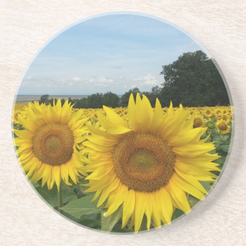 Sandstone Coaster with Sunflower
