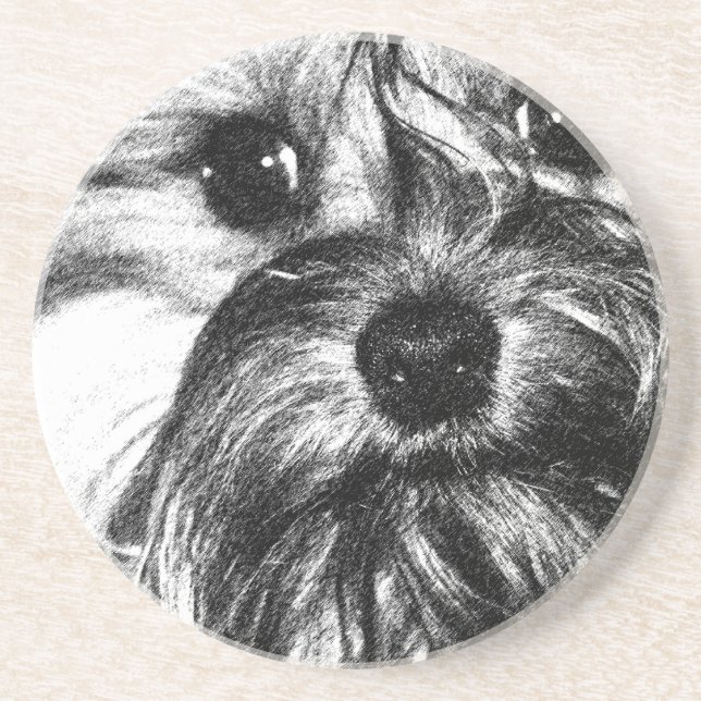 Sandstone Drink Coaster (Front)