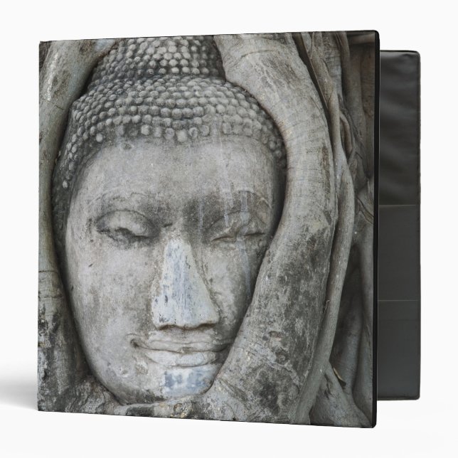 Sandstone head of Buddha surrounded by tree Binder (Front/Inside)