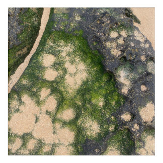 Sandstone Rock Formation with Emerald Green Moss Acrylic Print