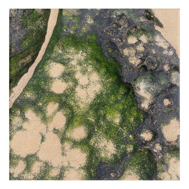 Sandstone Rock Formation with Emerald Green Moss Acrylic Print (Front)