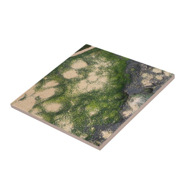 Sandstone Rock Formation with Emerald Green Moss Ceramic Tile (Side)