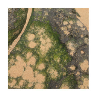 Sandstone Rock Formation with Emerald Green Moss Wood Wall Art