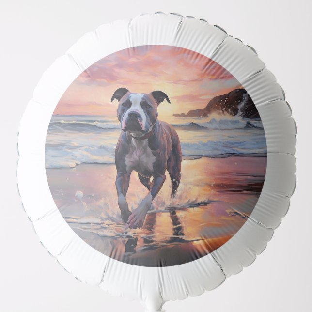 Sandy American Staffordshire Dog on Beach Sunset Balloon (Front)
