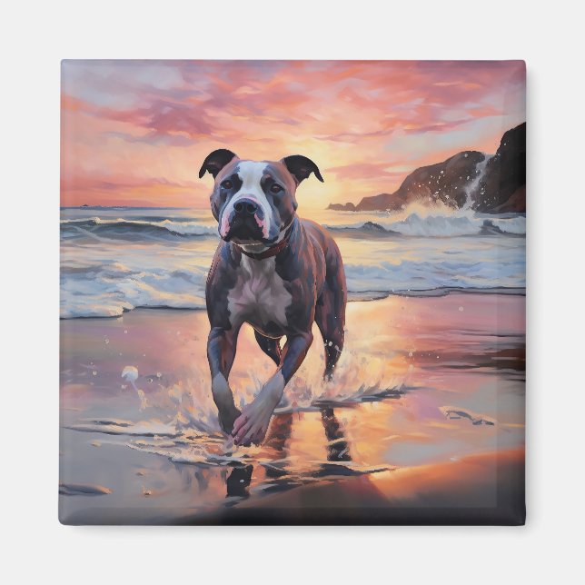 Sandy American Staffordshire Dog on Beach Sunset Magnet (Front)
