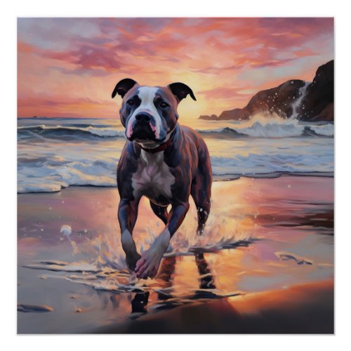 Sandy American Staffordshire Dog on Beach Sunset Poster