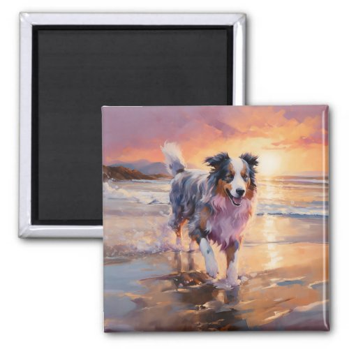 Sandy Australian Shepherd Dog on Beach Sunset  Magnet