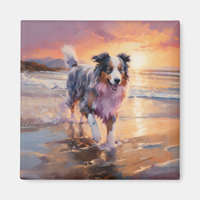 Sandy Australian Shepherd Dog on Beach Sunset  Magnet (Front)