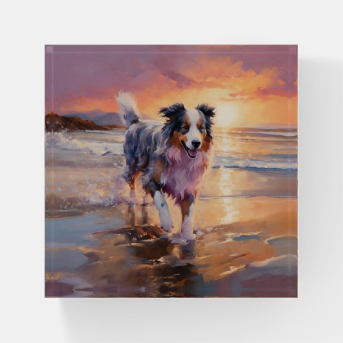 Sandy Australian Shepherd Dog on Beach Sunset  Paperweight
