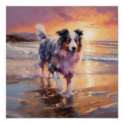 Sandy Australian Shepherd Dog on Beach Sunset  Poster