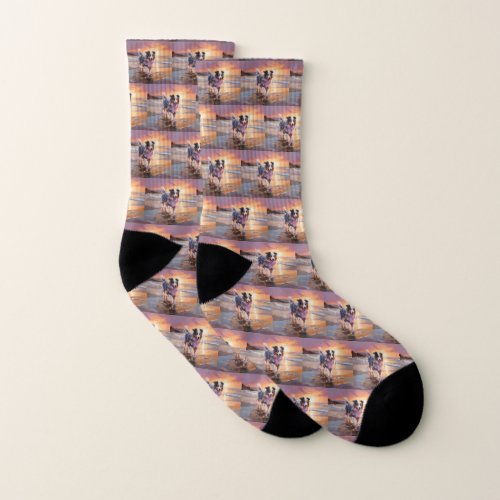 Sandy Australian Shepherd Dog on Beach Sunset  Socks