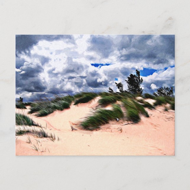 Sandy Beach Dune Grass Postcard (Front)