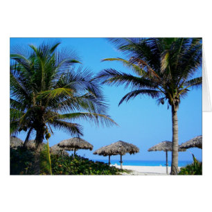 Sandy Beach With Palm Trees and An Ocean View Cards