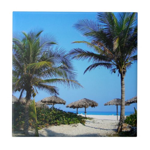 Sandy Beach With Palm Trees and An Ocean View Ceramic Tile