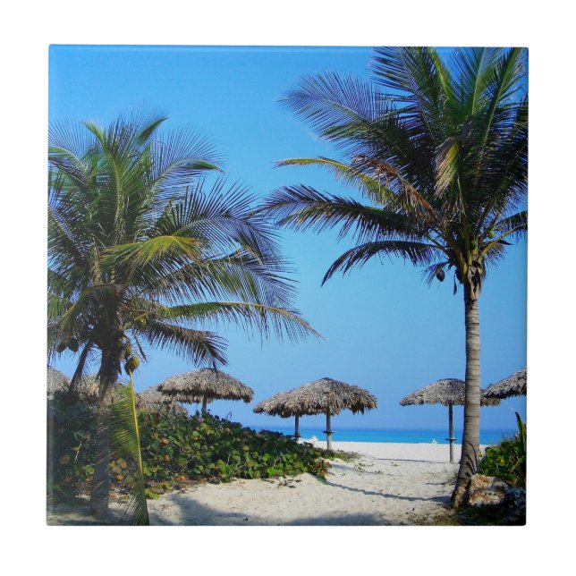 Sandy Beach With Palm Trees and An Ocean View Ceramic Tile (Front)