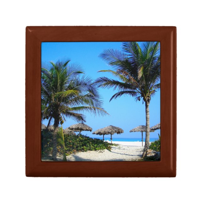 Sandy Beach With Palm Trees and An Ocean View Gift Box (Front)