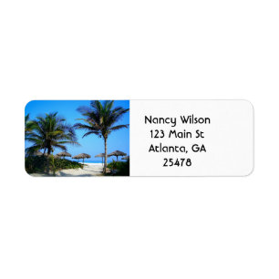 Sandy Beach With Palm Trees and An Ocean View Label