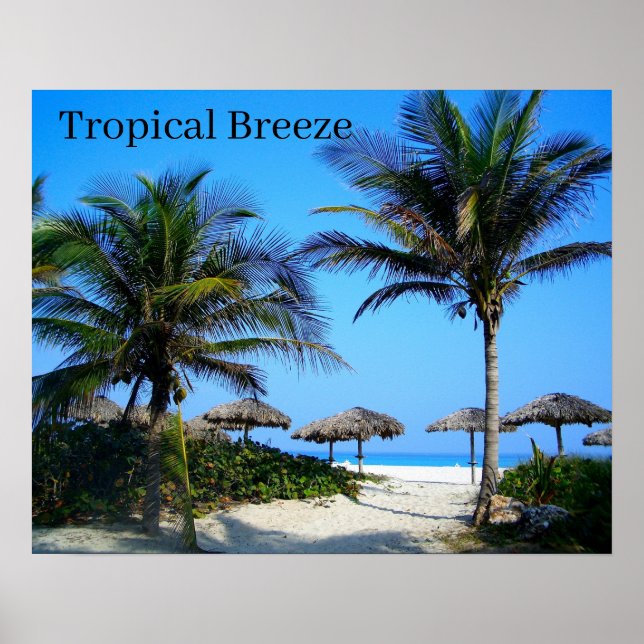 Sandy Beach With Palm Trees and An Ocean View Post Poster (Front)