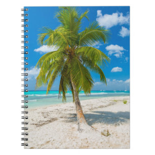 Sandy beach with tropical palm tree notebook