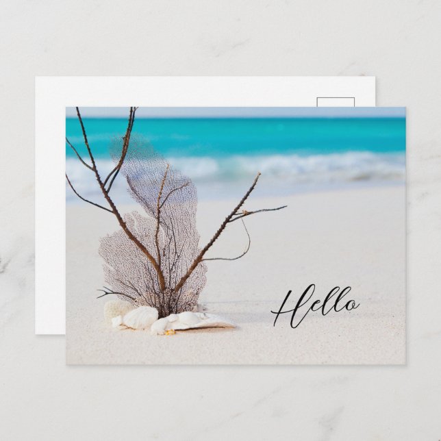 Sandy Beach with White Seashells Hello Postcard (Front/Back)