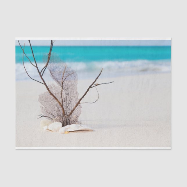 Sandy Beach with White Seashells Tissue Paper (Front)